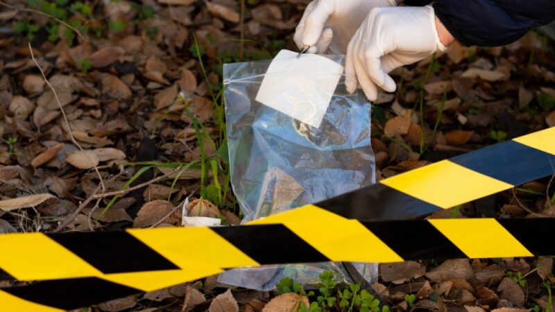 Znaleziono ciało 69-letniej kobiety zamknięte w mieszkaniu w Stąporkowie