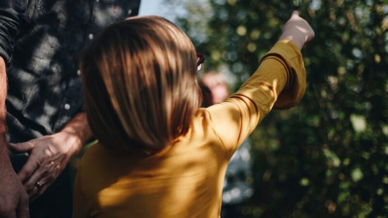 Mikołajskie Upominki dla Seniorów w Końskich