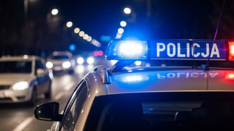 Cytrynowy sposób na uniknięcie mandatu w Czermnie