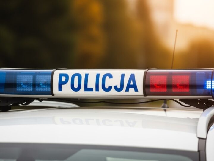 Trzech oszustów zatrzymanych przez policję w Końskich