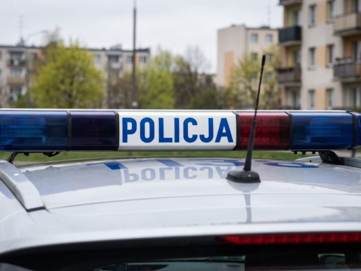 Bezpieczne drogi: Policjantka uczy dzieci zasad ruchu drogowego