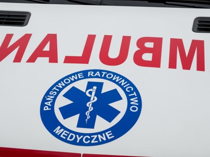 Grzybobranie z głową: Jak uniknąć niebezpieczeństw w lesie