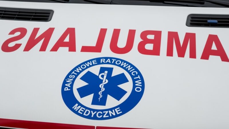 Grzybobranie z głową: Jak uniknąć niebezpieczeństw w lesie
