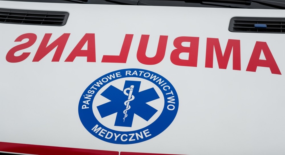 Grzybobranie z głową: Jak uniknąć niebezpieczeństw w lesie